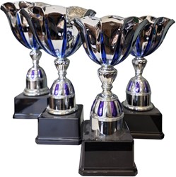 Set van 4 bekers op=op
