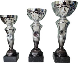 Beker zilver met zwart