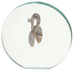 Glasstandaard wielrennen