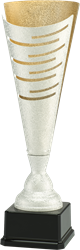 Grote zilveren trofee
