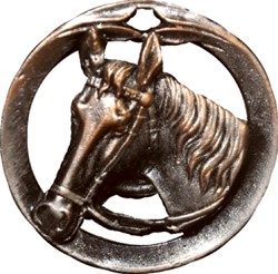 medaille paard