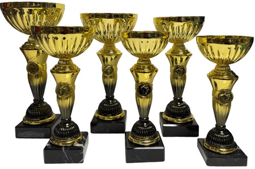 Beker goud met zwart