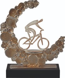 Standaard mountainbike