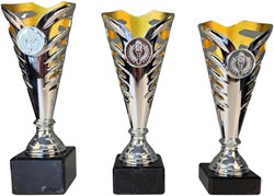 Beker zilver-goud