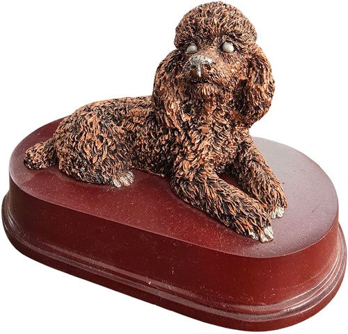 Trofee hond op=op