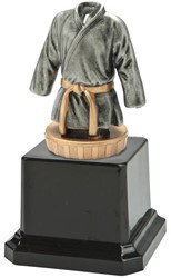Standaard judo