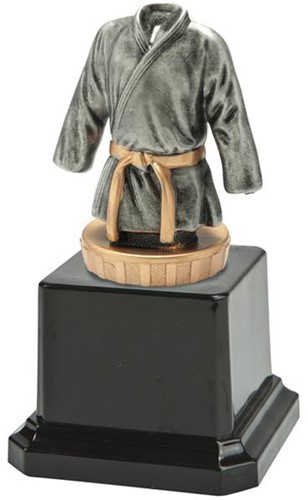 Standaard judo