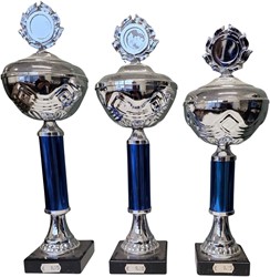 Set bekers zilver met blauw op=op