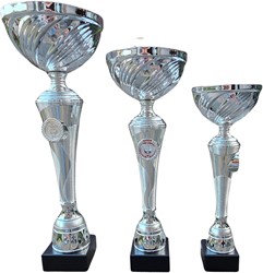 Set van 3 zilveren bekers op=op