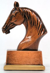 Trofee paardensport G/Z/B - Brons